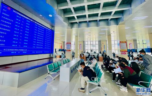 西藏实施一揽子政策助力高校毕业生就业创业